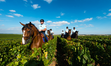 Plan champagne - La gendarmerie veille sur les activités viticoles © MI/Sirpa G/F.Balsamo