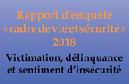 Rapport d’enquête « Cadre de vie et sécurité » 2018 